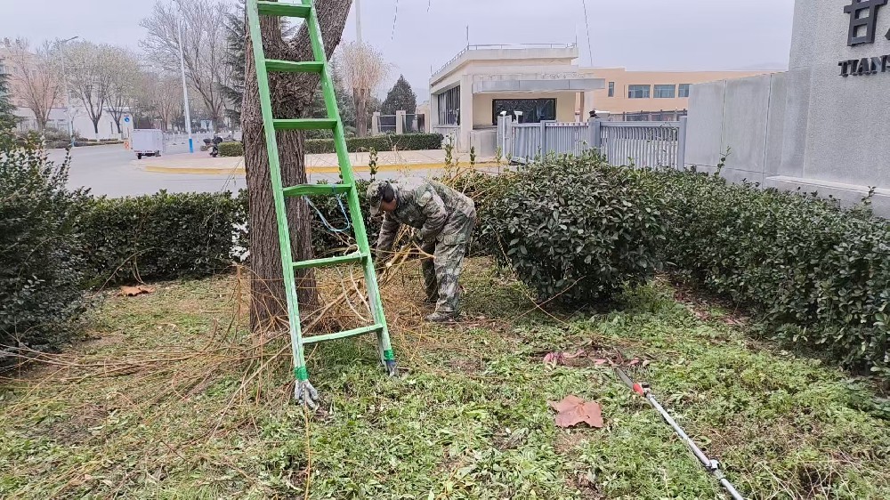 公用事業(yè)公司積極開(kāi)展樹(shù)木修剪、雜草清理工作