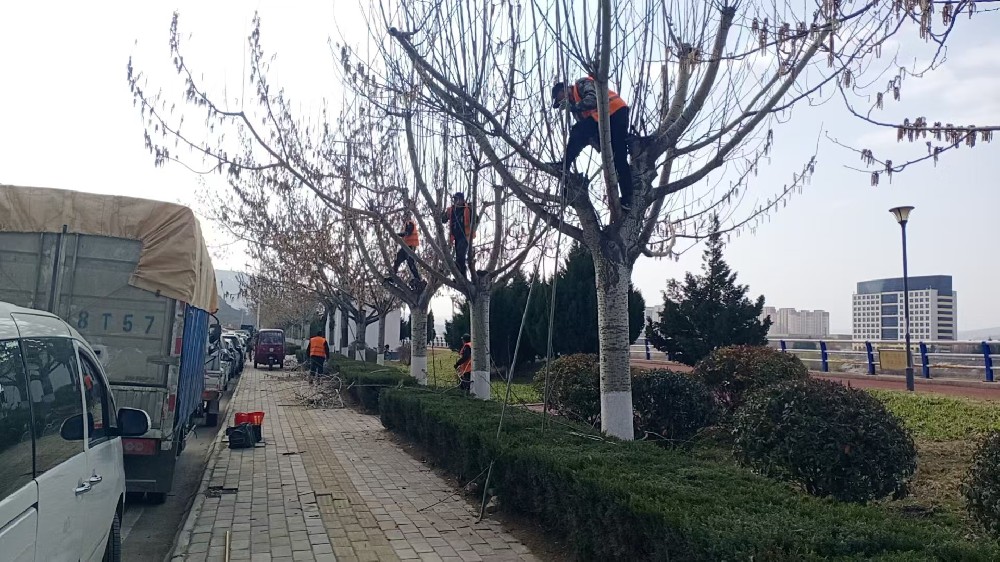 公用事業(yè)公司開(kāi)展春季樹(shù)木修剪工作